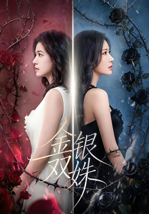 金银双姝（80集）全部免费看短剧的网站汇总