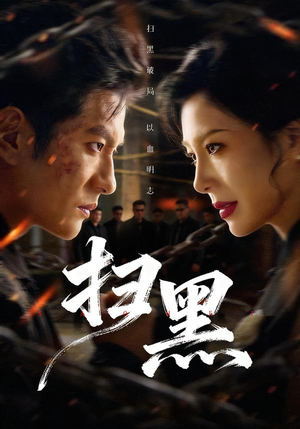 扫黑（70集）精彩短剧剧情不容错过