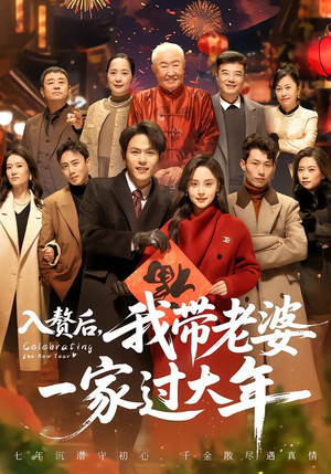 入赘后，我带老婆一家过大年（60集）免费看短剧全集