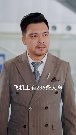 停飞后，我的航班坠毁了（100集）高分短剧推荐值得一看