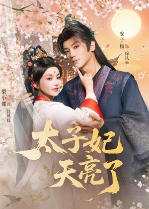 太子妃天亮了（80集）在哪个平台可以看短剧