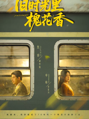 旧时光里槐花香(70集) 旧时光里槐花香(70集)超火爆短剧抢先看全集