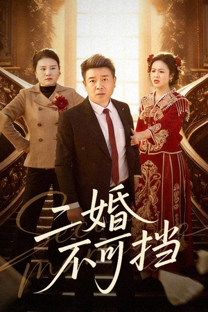二婚不可挡(36集) 二婚不可挡(36集)古装短剧热门推荐