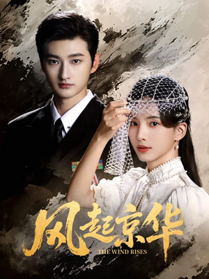 风起京华(60集) 风起京华(60集)免费的短剧资源大全