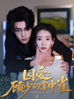 囚爱:顾少的掌中雀(70集) 囚爱:顾少的掌中雀(70集)不要钱看完整部短剧