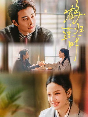 鹤归瑾时(81集) 鹤归瑾时(81集)不睡觉也要看完的短剧