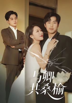 与卿共桑榆(63集) 与卿共桑榆(63集)热门短剧推荐推荐