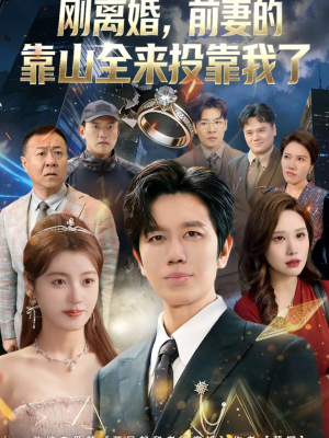 离婚,前妻的靠山全来投靠我了(80集) 离婚,前妻的靠山全来投靠我了(80集)短剧最热榜最近火