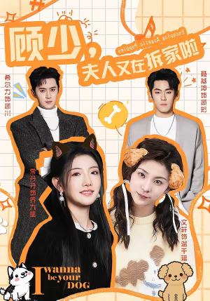 顾少,夫人又在拆家啦(78集) 顾少,夫人又在拆家啦(78集)短剧全剧终高清放送