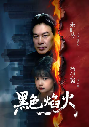 黑色焰火(41集) 黑色焰火(41集)短剧推荐下集更精彩