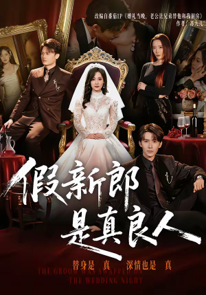 假新郎是真良人(67集) 假新郎是真良人(67集)热门正能量短剧推荐