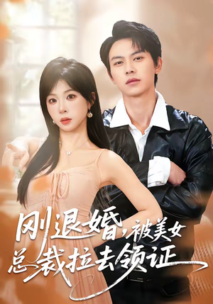 刚退婚，被美女总裁拉去领证（81集）短剧上头一起来追