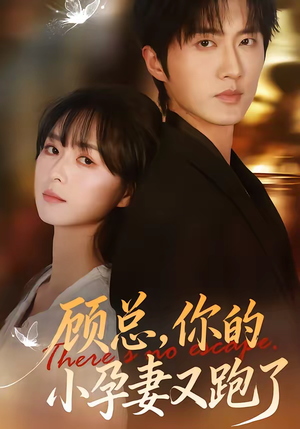 顾总，你的小孕妻又跑了（47集）短剧这部剧太好看了