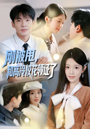 刚被甩，和高冷校花领证了（67集）红果短剧免费看