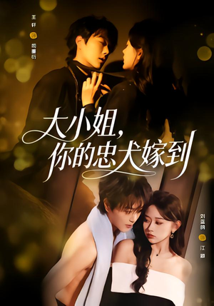 大小姐，你的忠犬嫁到（80集）一口气看完了整部短剧