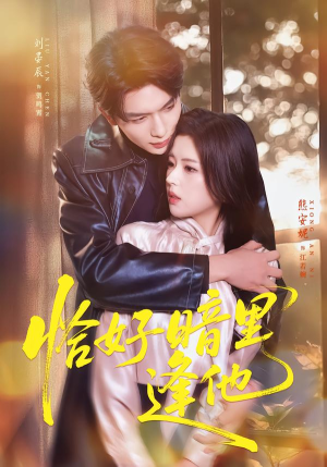 恰好暗里逢他（66集）热门短剧来袭精彩抢先看