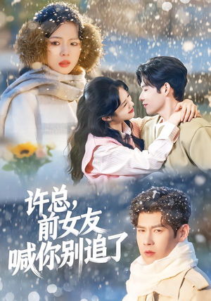 许总，前女友喊你别追了（80集）短剧大结局完整版免费看