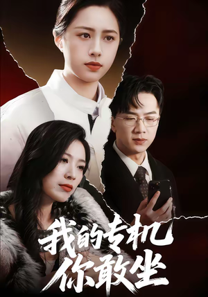 我的专机你敢坐（62集）红果免费短视频剧