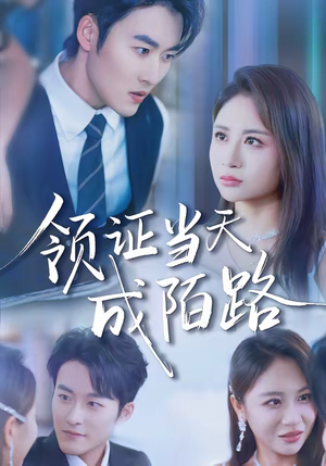 领证当天成陌路(39集) 领证当天成陌路(39集)热门短剧每天更新