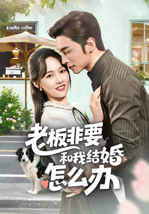 老板非要和我结婚怎么办(50集) 老板非要和我结婚怎么办(50集)喜欢追短剧的看过来