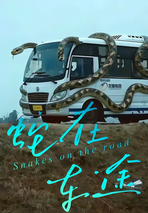 蛇在车途（34集）好看的短剧抢先看