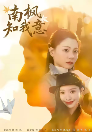 南枫知我意（41集）真的太精彩了短剧分享社区