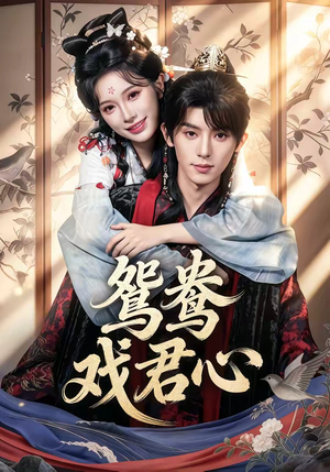 鸳鸯戏君心（60集）短剧简直不要太好看