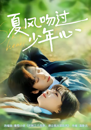 夏风吻过少年心（76集）在线看到短剧大结局