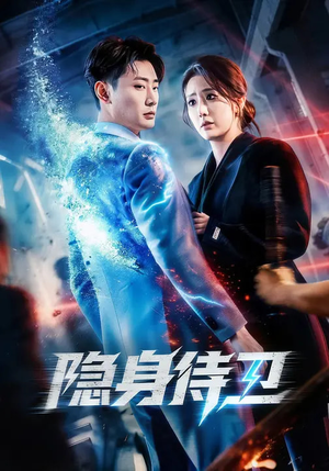 隐身侍卫（80集）超精彩热门短剧推荐
