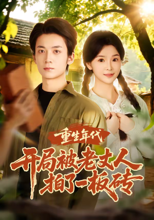 重生年代开局被老丈人拍了一板砖（82集）在线观看短剧完整版