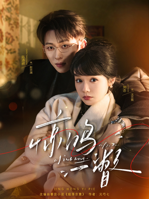 惊鸿一瞥（72集）在线即可畅享全集短剧