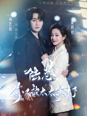 陆总，你又被太太算计了（70集）无需掏钱整部剧免费看短剧