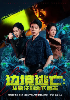 边境逃亡：从猪仔到地下国王（81集）红果短剧看全集