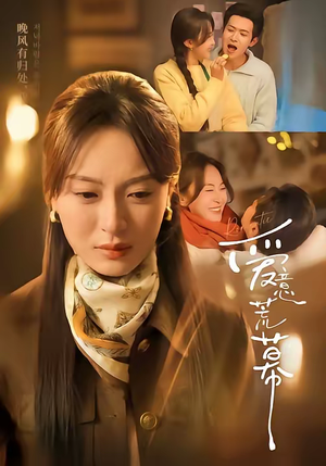 爱意荒幕（70集）红果短剧免费看