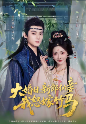大婚日，新郎纳妾我怒嫁竹马（80集）全网最火爆的短剧