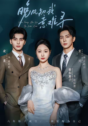 晚风知我意难寻（60集）剧好看短剧推荐