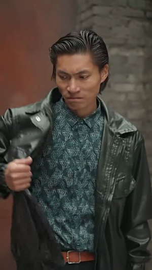 我叫林二虎（70集）经典老剧短剧免费看