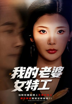 我的老婆女特工（62集）又发现一个超好看的短剧