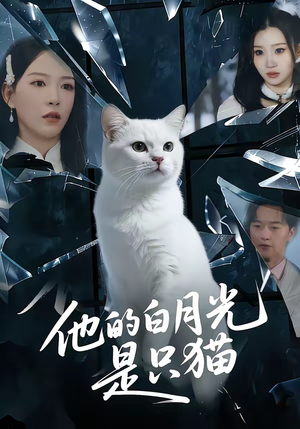 他的白月光是只猫（69集）好看又精彩的短剧来了