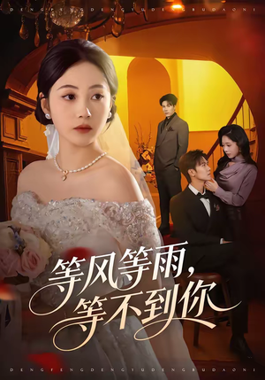 等风等雨,等不到你(65集) 等风等雨,等不到你(65集)大结局一气呵成的短剧