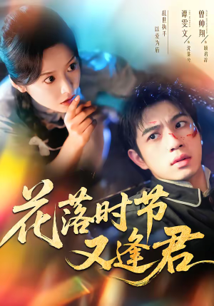 花落时节又逢君（61集）全集免费在线观看短剧无广告