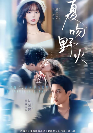 夏吻野火（80集）短剧大结局连更全集