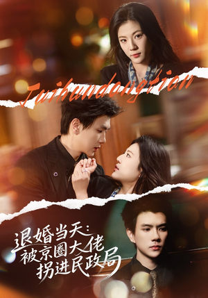 退婚当天:被京圈大佬拐进民政局(80集) 退婚当天:被京圈大佬拐进民政局(80集)短剧推荐太好看了