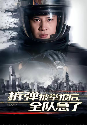 拆弹被举报后,全队急了(50集) 拆弹被举报后,全队急了(50集)短剧全集免费观看