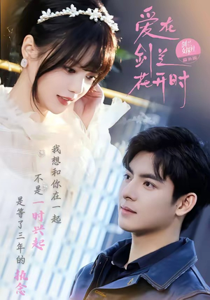 爱在剑兰花开时（56集）免费短剧全集看