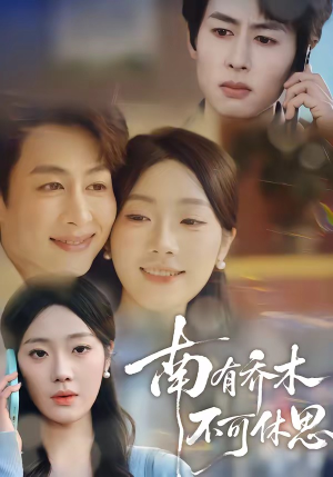 南有乔木，不可休思（68集）每日更新短剧精彩片段