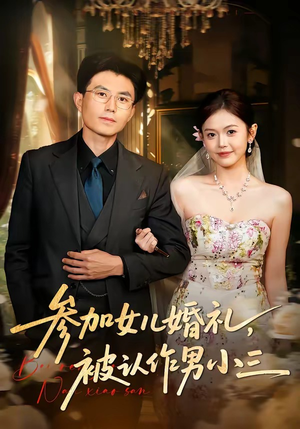 参加女儿婚礼，被认作男小三（36集）热门短剧推荐短剧片段