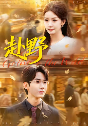 赴野（40集）免费观看到短剧大结局