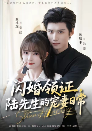 闪婚领证，陆先生的宠妻日常（86集）重生之追夫火葬场短剧
