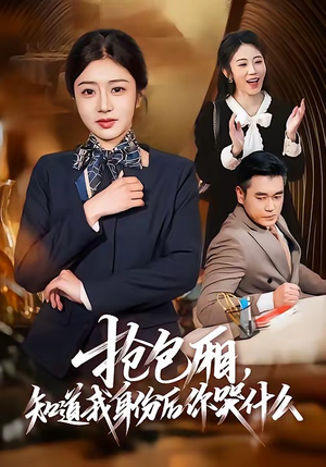 抢包厢，知道我身份后你哭什么（70集）免费短剧就是爽